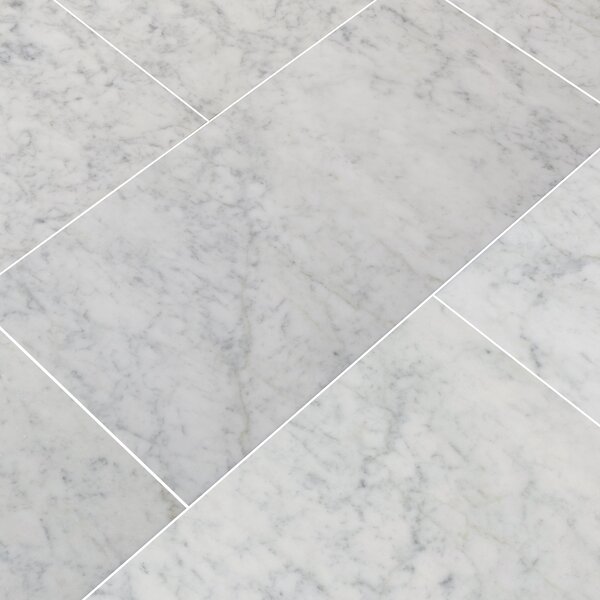 MSI Carrara 12" x 24" Marble Look Wall & Floor Tile Wayfair